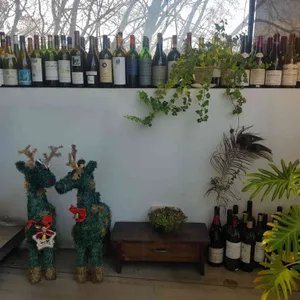 식물감각 리뷰 사진