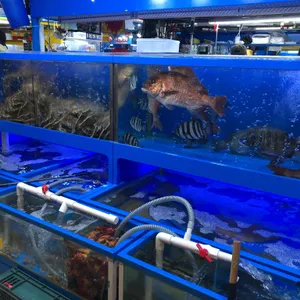 용기수산 리뷰 사진