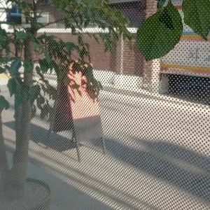 소나무 대표 사진