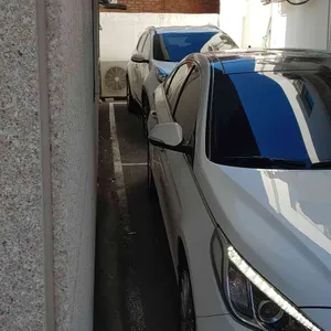 소나무 대표 사진