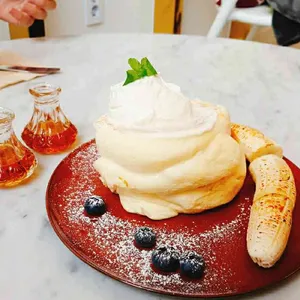 젠젠 사진