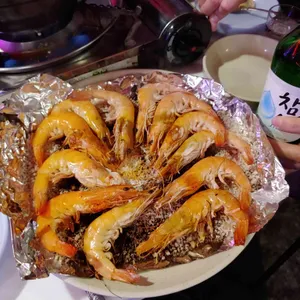 제니스 사진
