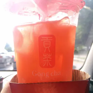공차 사진
