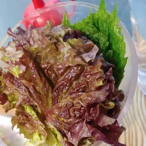 계절포차 동해 사진
