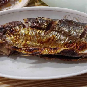 계절포차 동해 사진