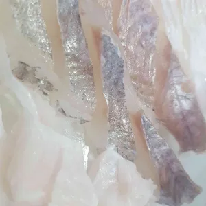 청춘수산 사진