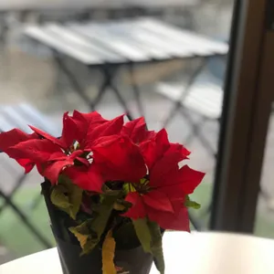 카페 진선 리뷰 사진