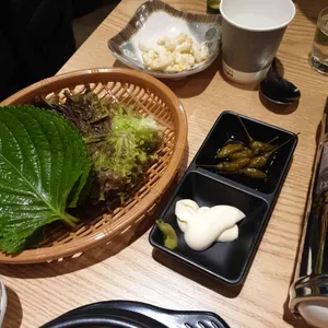 파고파곱 사진