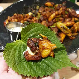파고파곱 사진