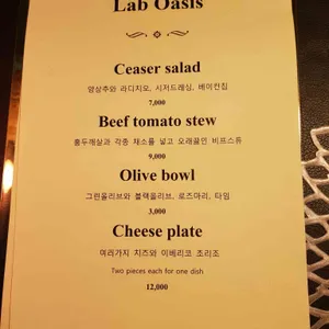 랩오아시스 리뷰 사진