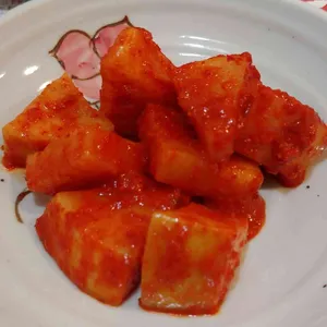 돌담 사진