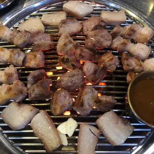 제주애돈 사진