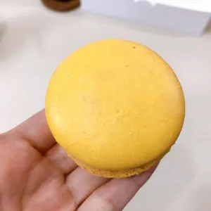 달콤스토리 사진