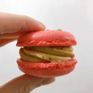 달콤스토리 사진