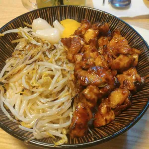 홍대개미 사진
