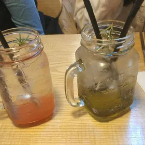 홍대개미 사진