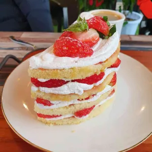 K401 사진