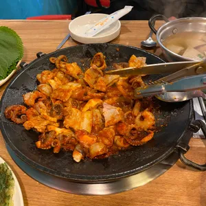 빨간쭈꾸미 사진