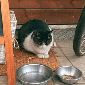 은수테이블 리뷰 사진