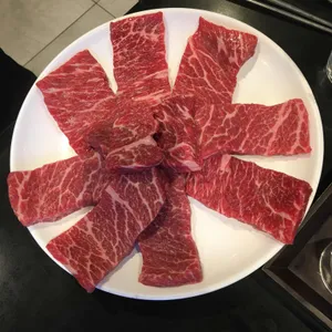참토우 사진