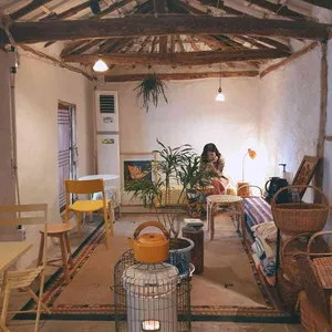 테일 리뷰 사진