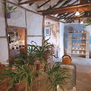 테일 리뷰 사진