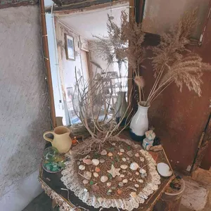 테일 리뷰 사진