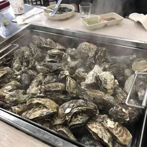 굴사냥 사진