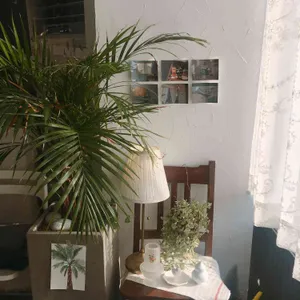 SOHAPPY 리뷰 사진
