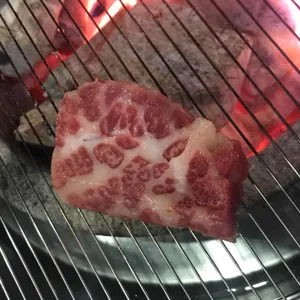 워낭소리 사진
