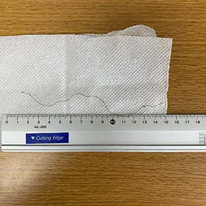 고래섬 리뷰 사진