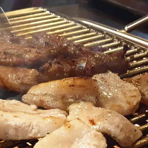 서래갈매기 사진