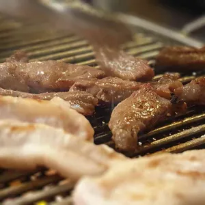 서래갈매기 사진