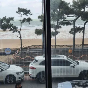 도쎄비다 리뷰 사진