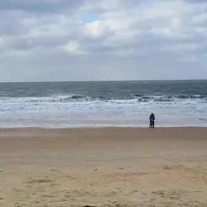 도쎄비다 리뷰 사진