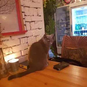 36.5도여름동쪽점 대표 사진