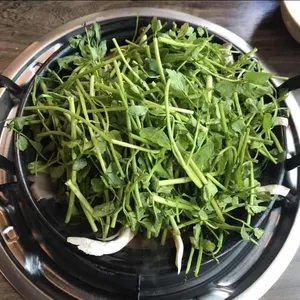 등촌샤브칼국수 리뷰 사진
