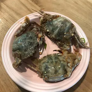 쌍용코다리 사진