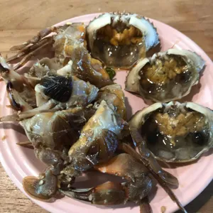 쌍용코다리 사진