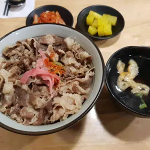 하쿠나마타타 사진