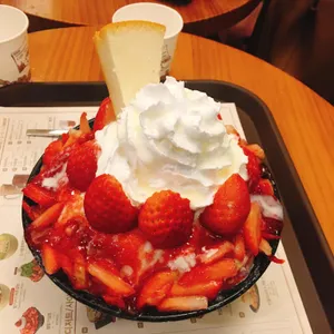 설빙 사진