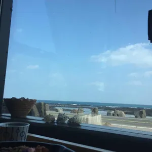 벵디 리뷰 사진