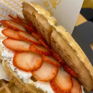 와플대학 리뷰 사진