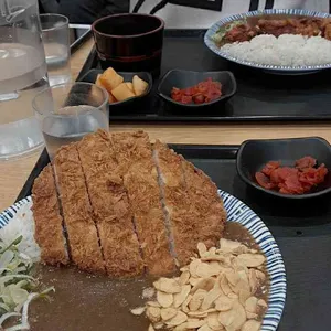 아비꼬 사진
