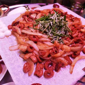 돼지똥꼬 사진