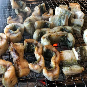 장어의전설 사진