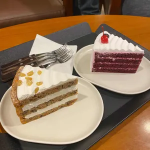 프롤로그 사진