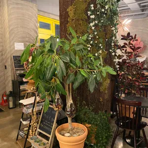 제이플라워 카페 리뷰 사진