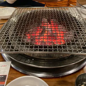 금송아지 사진