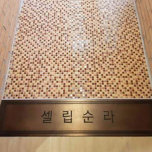 셀립 순라 리뷰 사진